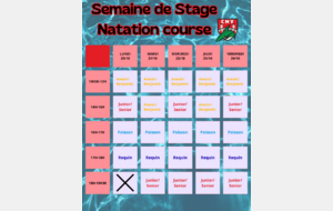 Stage Toussaint