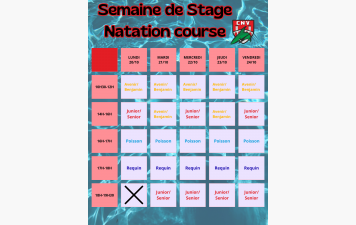 Stage Toussaint